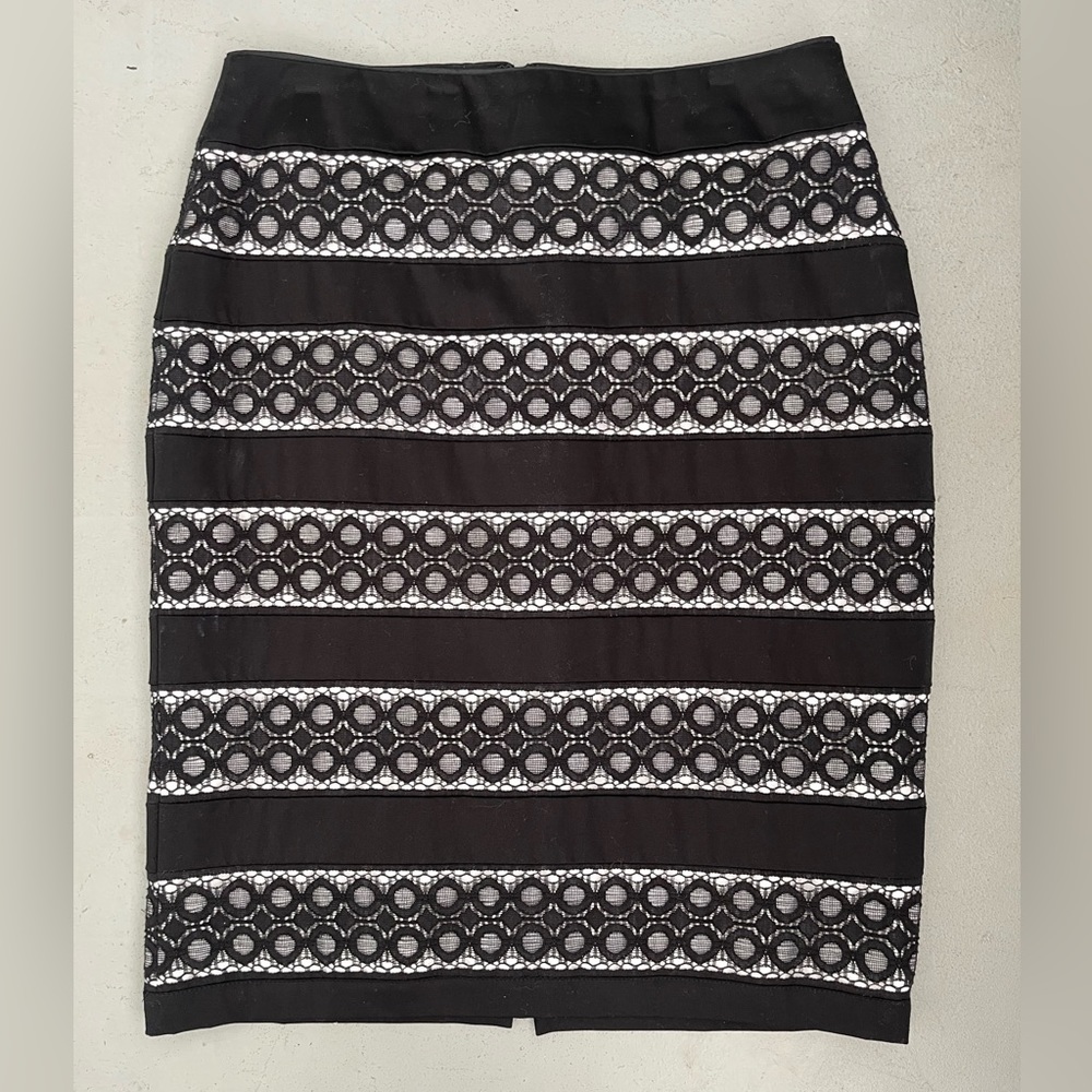 Classic Skirt with Lace